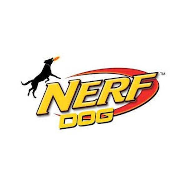 Nerf Dog
