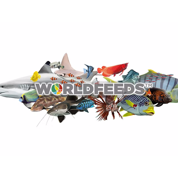 WORLD FEEDS