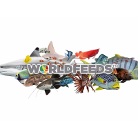 WORLD FEEDS