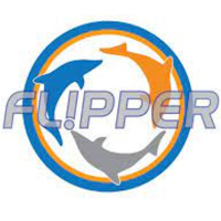 Flipper Devices Inc.