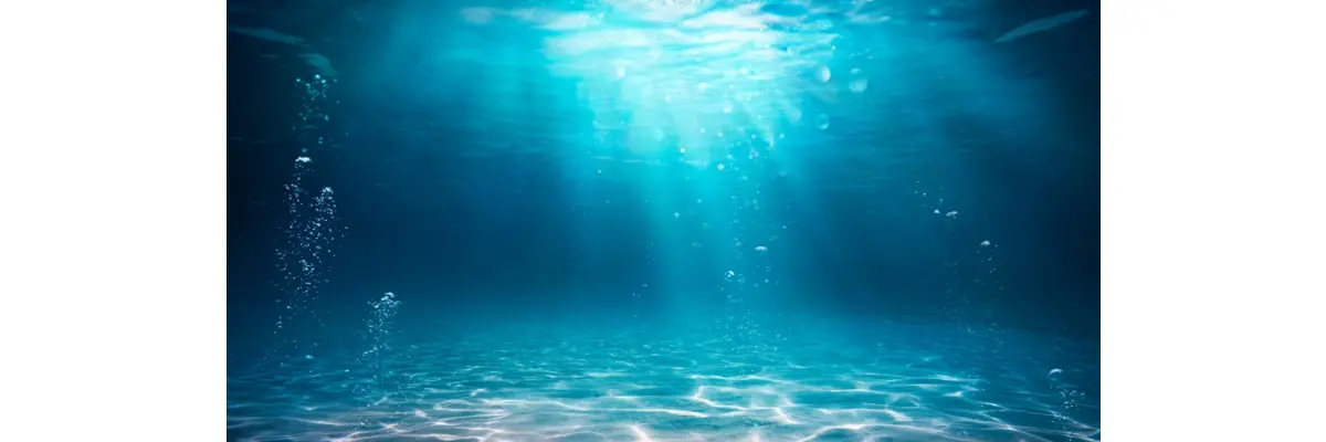 Aquarium Beleuchtung: Der ultimative Leitfaden für strahlende Unterwasserwelten - Aquarium Beleuchtung: Der ultimative Leitfaden für strahlende Unterwasserwelten