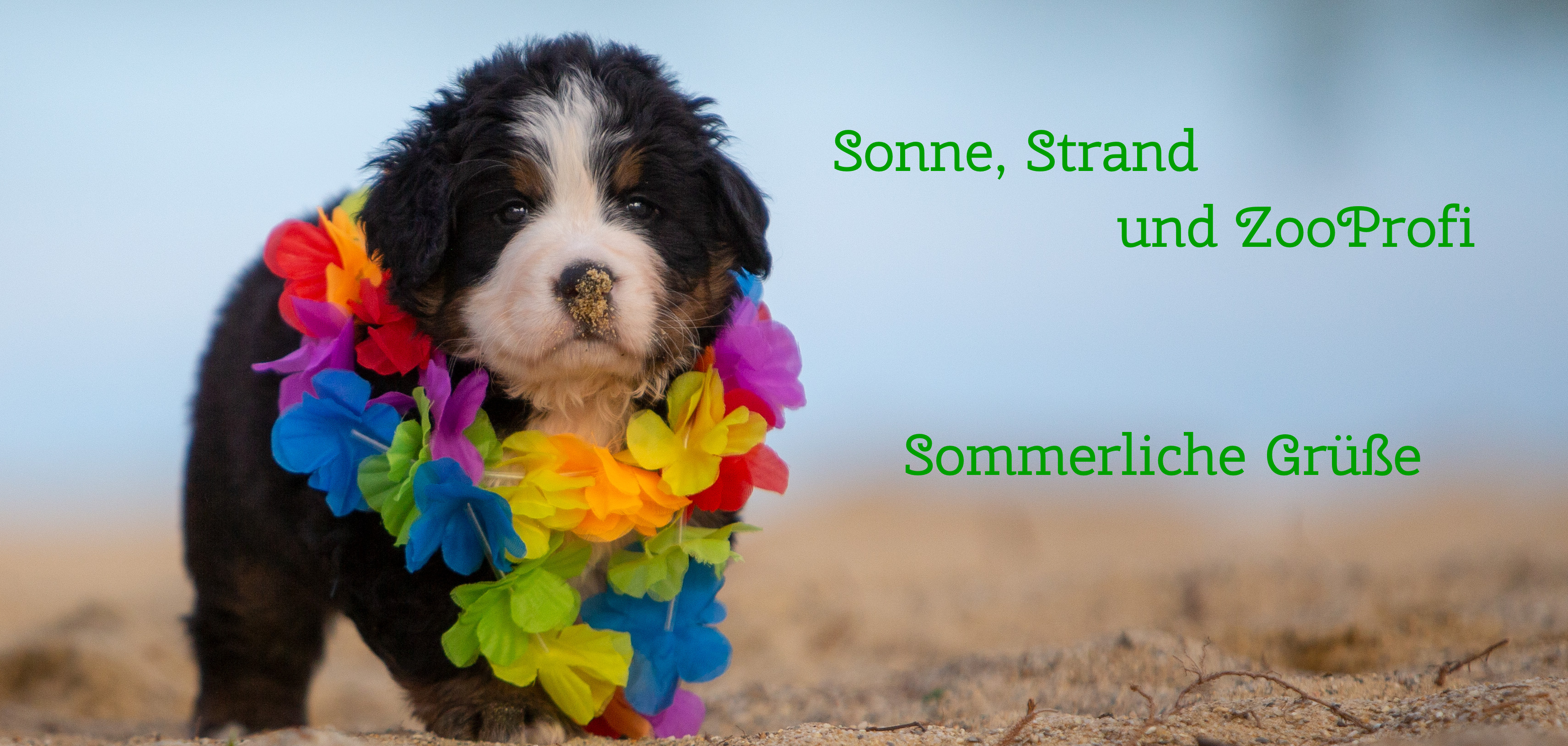 Sommer Sonne Strand und ZooProfi