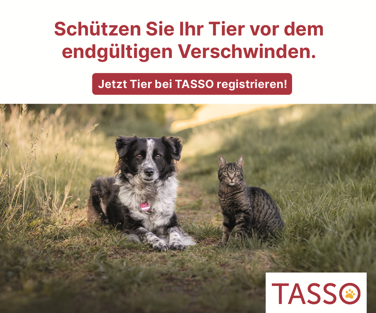 🐾 ZooProfi.de unterstützt TASSO, tierisch angagiert! 🐾 ZooProfi.de unterstützt TASSO, tierisch engagiert!
