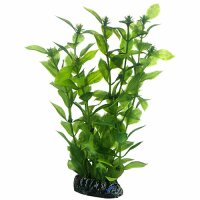 Hobby Kunstpflanze Hygrophila 20cm