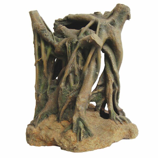 Hobby Azalea Root 3 Ma?e 33 x 26 x 35,5 cm