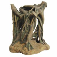 Hobby Azalea Root 3 Ma?e 33 x 26 x 35,5 cm