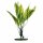 Marina Aquascaper Amazon Sword Plant 30 cm