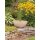 Laguna Ornament Fish Bowl Mondo inklusive Luftpumpe - Verpackung besch?digt