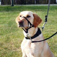Trixie Top Trainer Ausbildungsgeschirr XL 46 cm