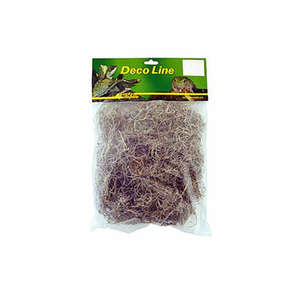 Lucky Reptile Spanische Moos, 50g