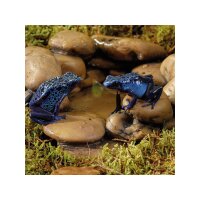 Exo Terra Frog Pond small Kieselstein Wassernapf 75ml