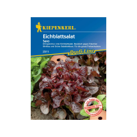 Kiepenkerl - 2511 Eichblattsalat Saxo - Ertragreicher, roter Eichblattsalat