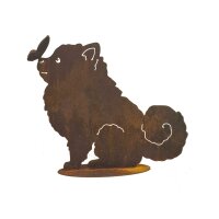 Rostdeko kleiner Spitz mit Schmetterling auf der Schnutte