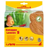 sera Catappa Leaves Größe S 10 St.