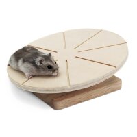 Living World Laufteller (20cm Durchmesser) für Hamster Spielzeug für Hamster