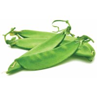 Catit Go Natural Klumpendes Katzenstreu mit Vanilleduft aus Erbsenhülsen Natur 2 x 2,8kg