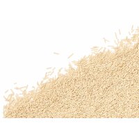 Catit Go Natural Klumpendes Katzenstreu mit Vanilleduft aus Erbsenhülsen Natur 2 x 2,8kg