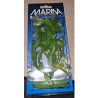 Marina Aquascaper Hygrophila 20 cm