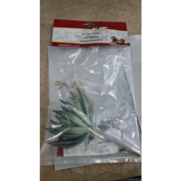 Hobby Haworthia: 15 cm künstliche Pflanze zur Terrariendekoration