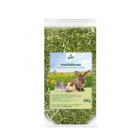 Speers Hoff Fenchelkraut 100g Beutel