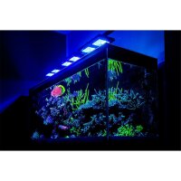 Reef Factory Reef flare Pro BLUE M White