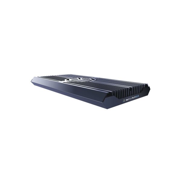 Reef Factory Reef flare Pro BLUE M Black