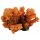 Trixie Aquarium Deko Koralle Fingerkoralle orange gelb 12cm Dekoration Korallenstein