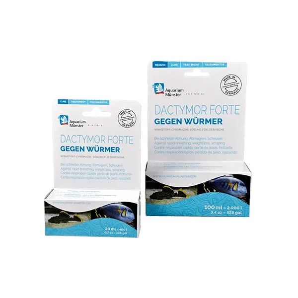 Aquarium Münster Dactymor Forte 20ml