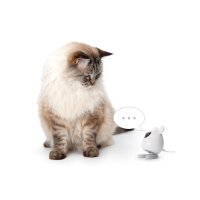 Catit Pixi Smart Maus Kamera
