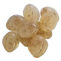 Dupla Gel-O-Drops White Mosquito 12x2g Zierfischfutter