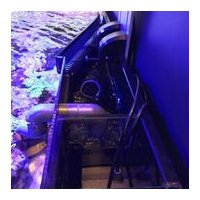 D-D Reef-Pro1200 PLATINUM OAK - Aquariumsystem