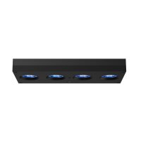 AI Hydra HD 64 LED schwarz