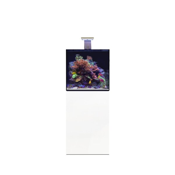 D-D Aqua-Pro Reef 600 Cube White Gloss