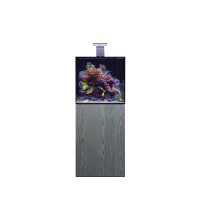 D-D Aqua-Pro Reef 600 Cube Catbon Oak
