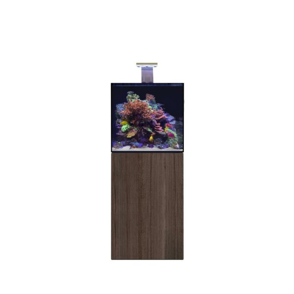 D-D Aqua-Pro Reef 600- Cube- JAPANESE PEAR Gloss