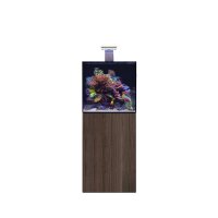 D-D Aqua-Pro Reef 600- Cube- JAPANESE PEAR Gloss