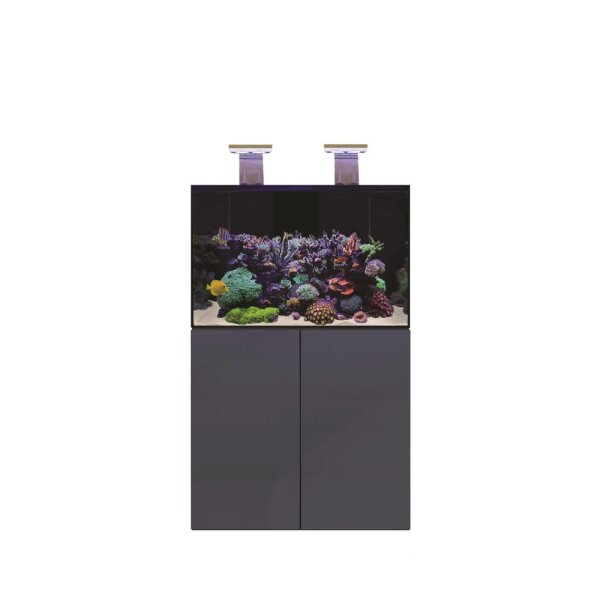 D-D Aqua-Pro Reef 900- ANTHRACITE GLOSS