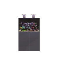 D-D Aqua-Pro Reef 900- ANTHRACITE GLOSS