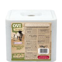 Versele-Laga CB Ovilic Salzleckstein 10kg