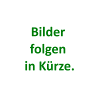Rote Wasserflöhe 100g vitaminisiert