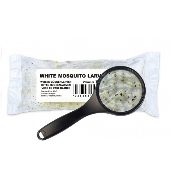 Lebendfutter Weiße Mückenlarve im Beutel 90ml 2x40ml