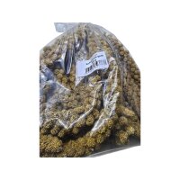 Kolbenhirse gelb 500g Beutel