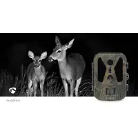 nedis Wildlife Kamera 16 Mega Pixel Wildkamera
