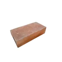 Biova Salzziegelstein 20x10x5cm Rosasalz glatt