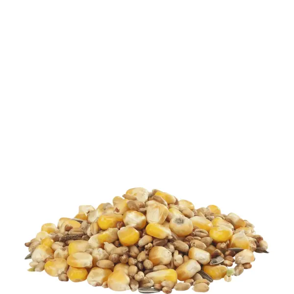 Versele-Laga Countrys Best Gra Mix Hennenmischung 20kg