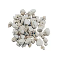 Aquarium Münster Aquavital Zeranix 1200ml