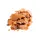 Aquarium Münster Dr. Bassleer Biofish Food Excel Flake 70g