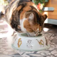 Wrendale Designs Katzen Fressnapf Cat Bowl