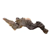 Aquadecor Mopani Holz S