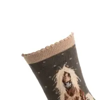 Wrendale Designs Socken mit Pony Pferd beige graugrün
